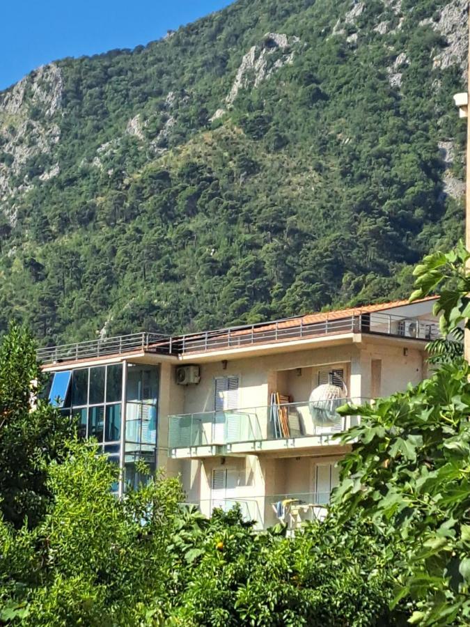 Apartment With Sea View In Prcanj Kotor